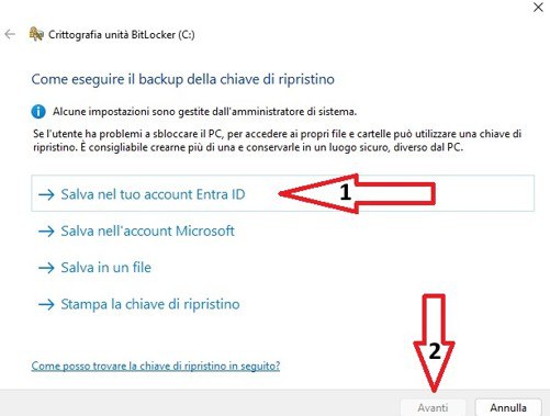 Immagine7.jpg